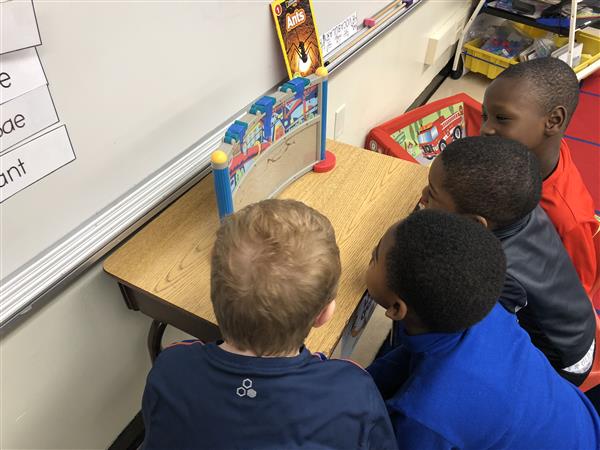 observing ants 